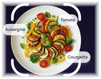 A plate of food inside a scanner frame, each ingredient labelled
