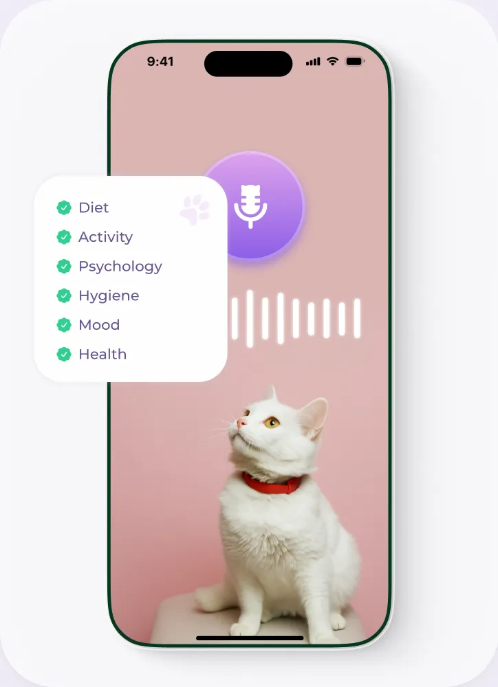 A phone recording a cat with the mic listening and a checklist of diet, activity, psychology, hygiene, mood and health